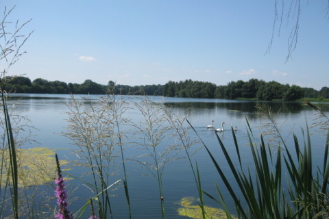 Biospärenreservat Oberlausitzer Heide- und Teichlandschaft